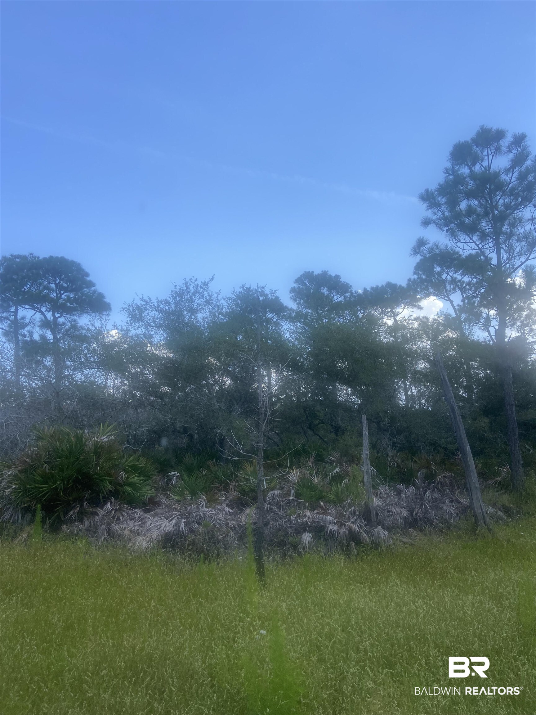 8415 Zeanah Road Gulf Shores, AL 36542 - Photo 6 of 15