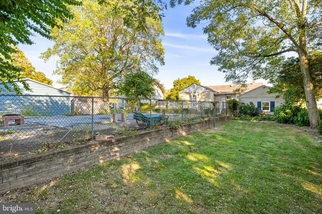 a view of a garden with large trees