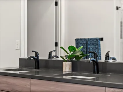 a view of a sink with granite countertop a potted plant on it