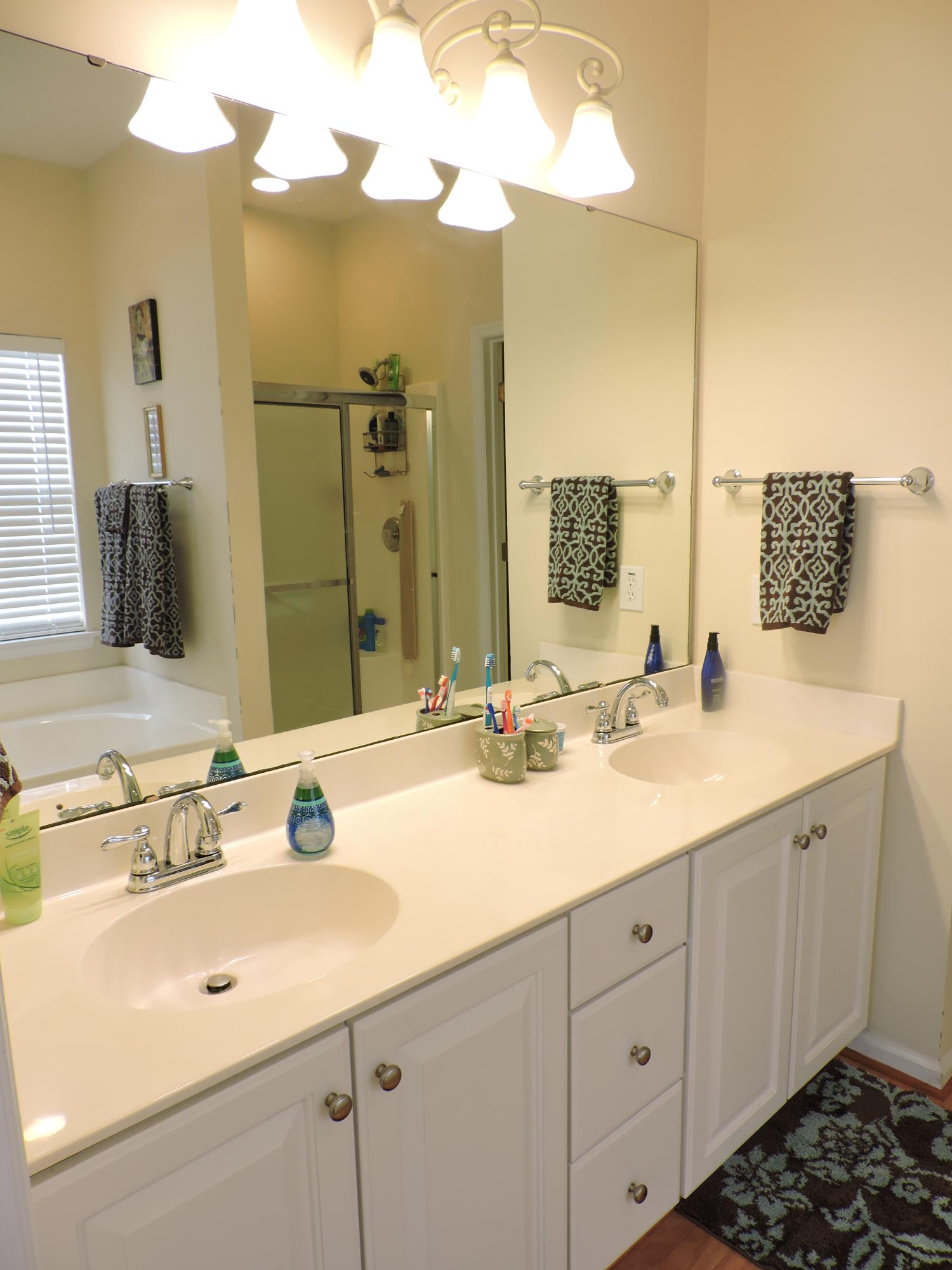 533 Pointe Of Oaks Road Summerville, SC 29485 - Photo 13 of 29 Master Bath View 1
