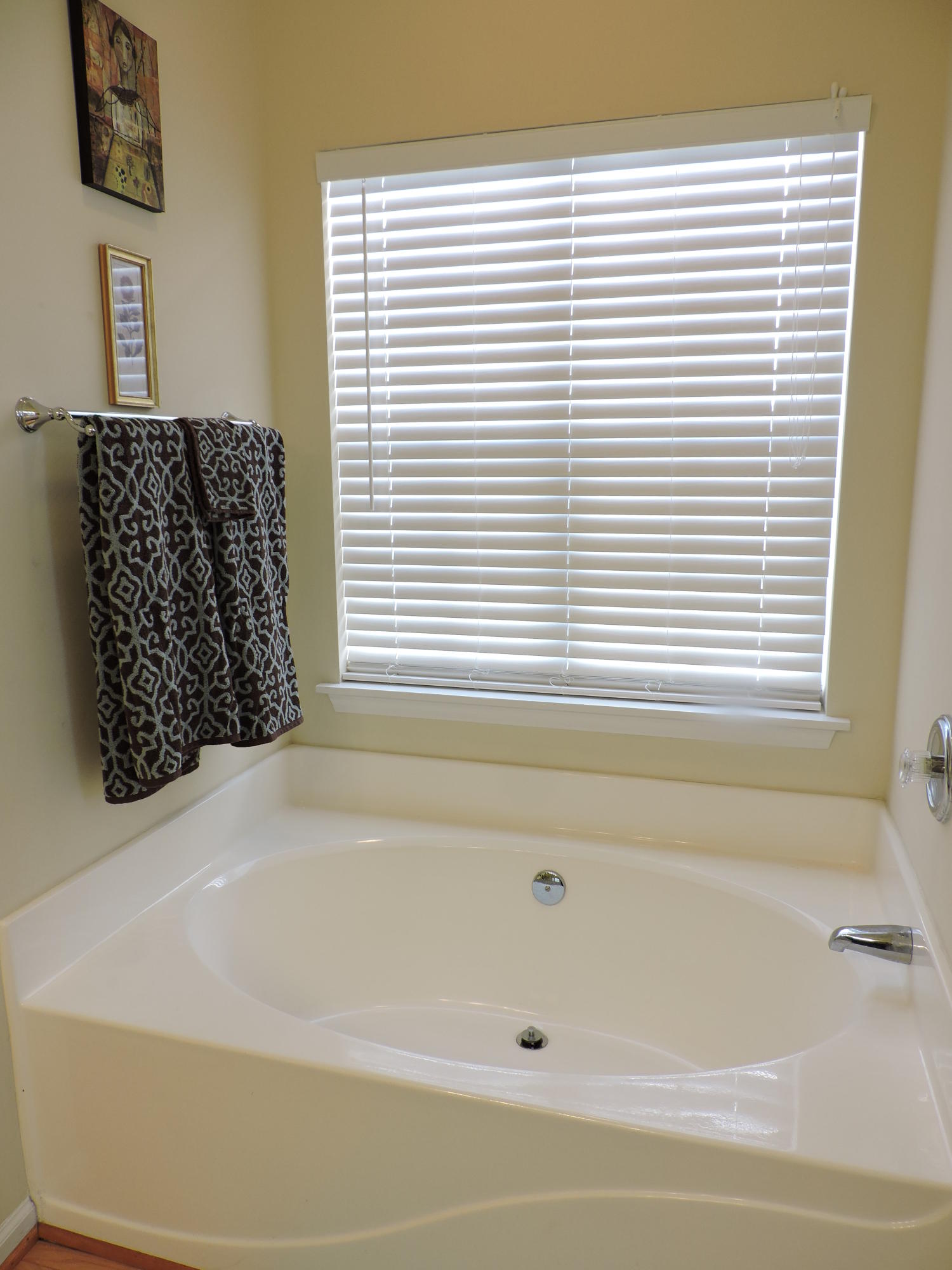 533 Pointe Of Oaks Road Summerville, SC 29485 - Photo 14 of 29 Master Bath View 2