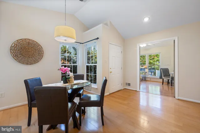 a view of a yard with large trees