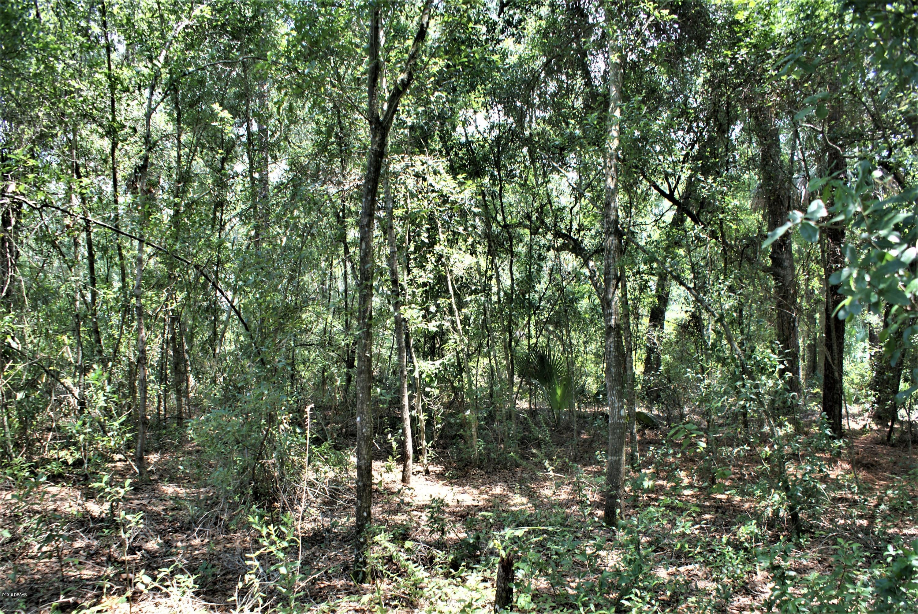 0 Deerfoot Road DeLand, FL 32720 - Photo 11 of 18 DSC02167c