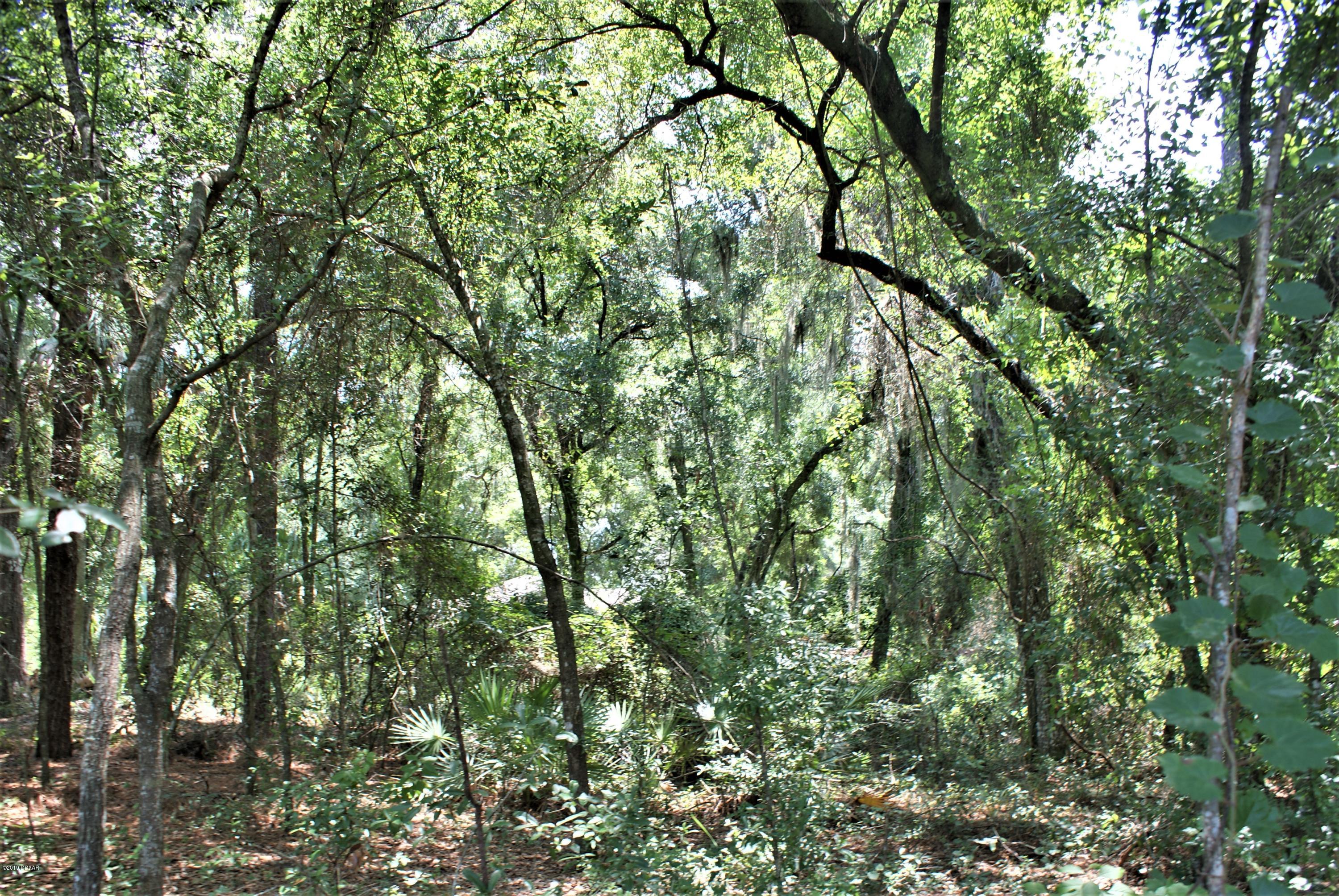 0 Deerfoot Road DeLand, FL 32720 - Photo 12 of 18 DSC02168c