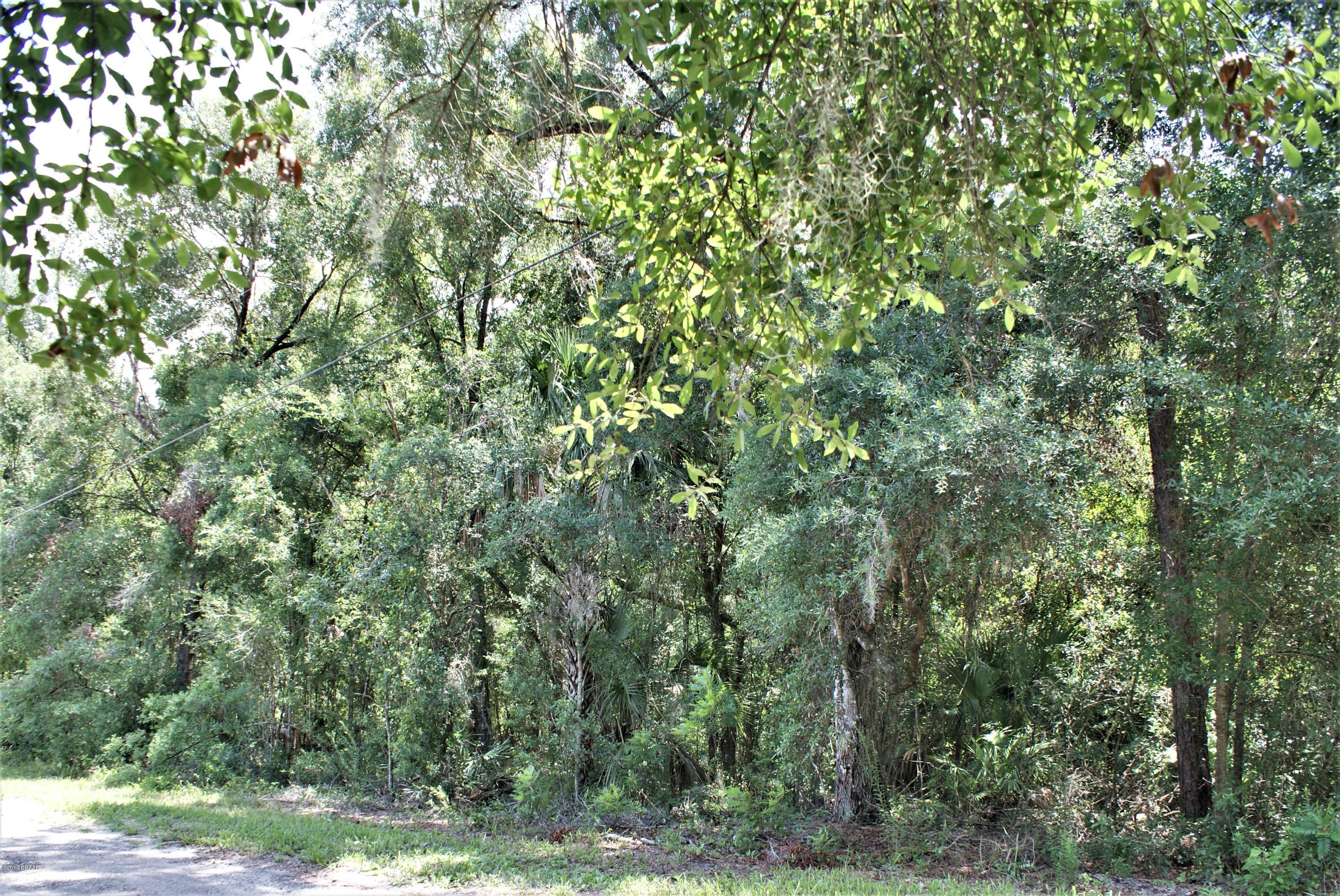 0 Deerfoot Road DeLand, FL 32720 - Photo 14 of 18 DSC02171c