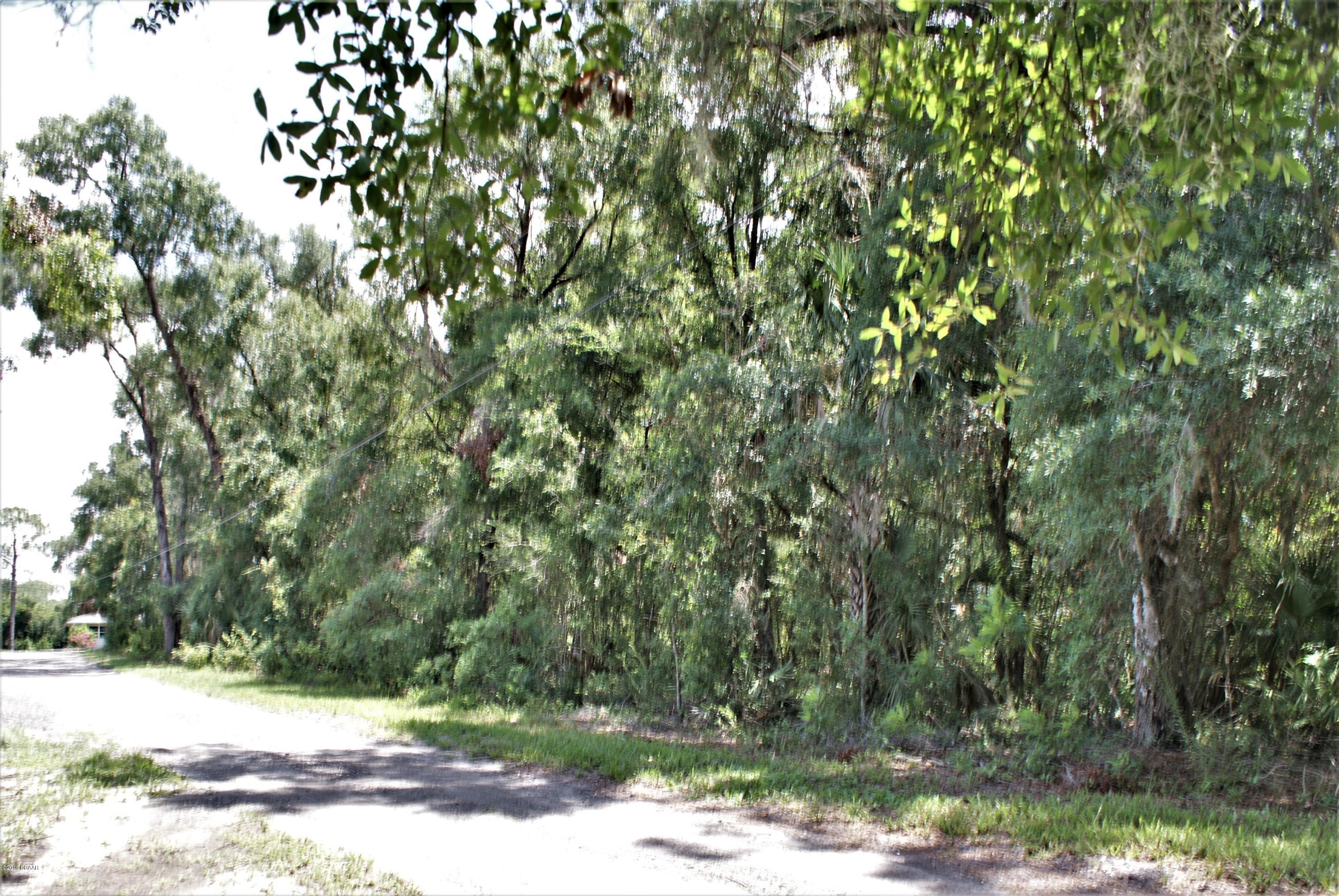 0 Deerfoot Road DeLand, FL 32720 - Photo 15 of 18 DSC02172c