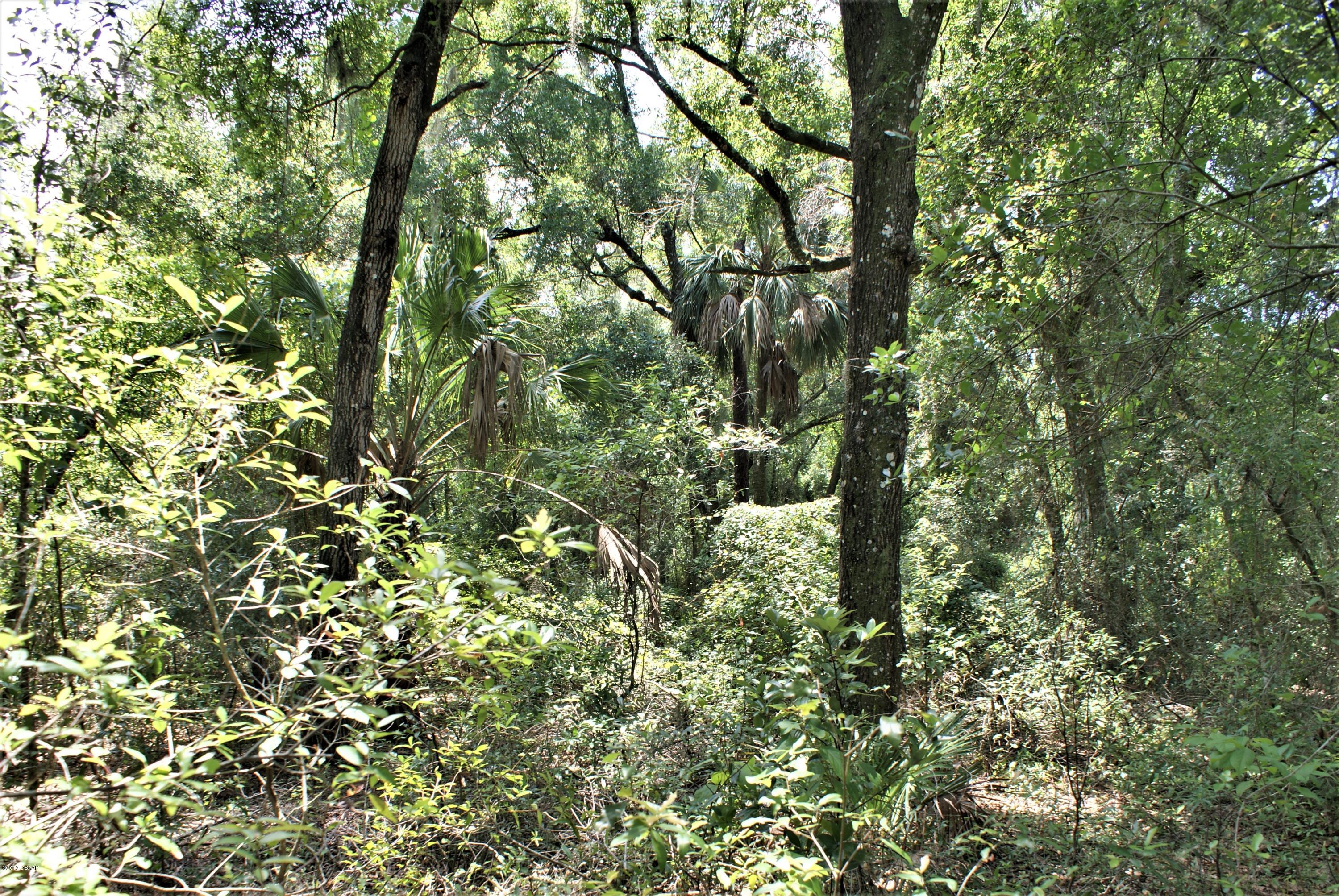 0 Deerfoot Road DeLand, FL 32720 - Photo 16 of 18 DSC02173c