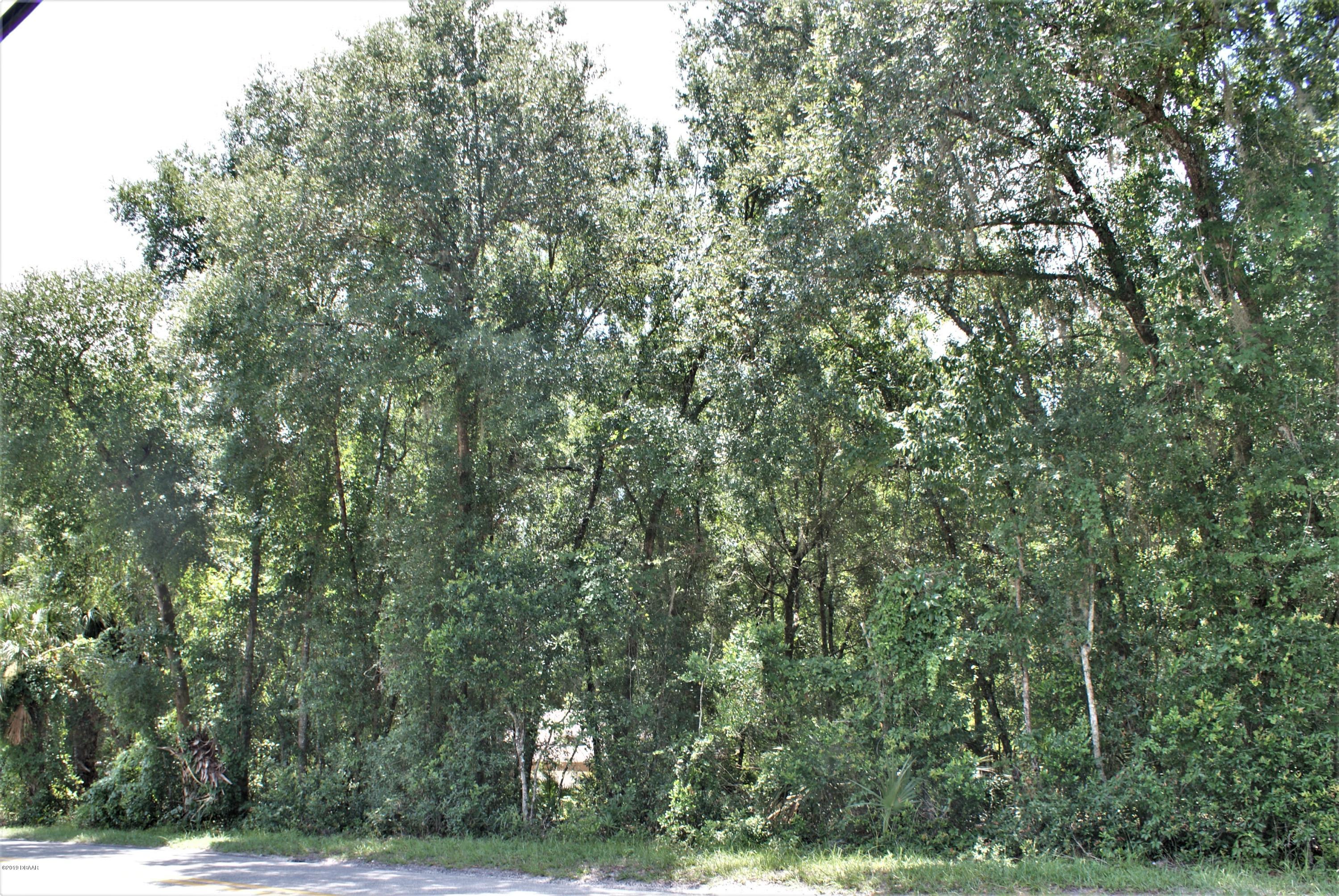 DSC02162c