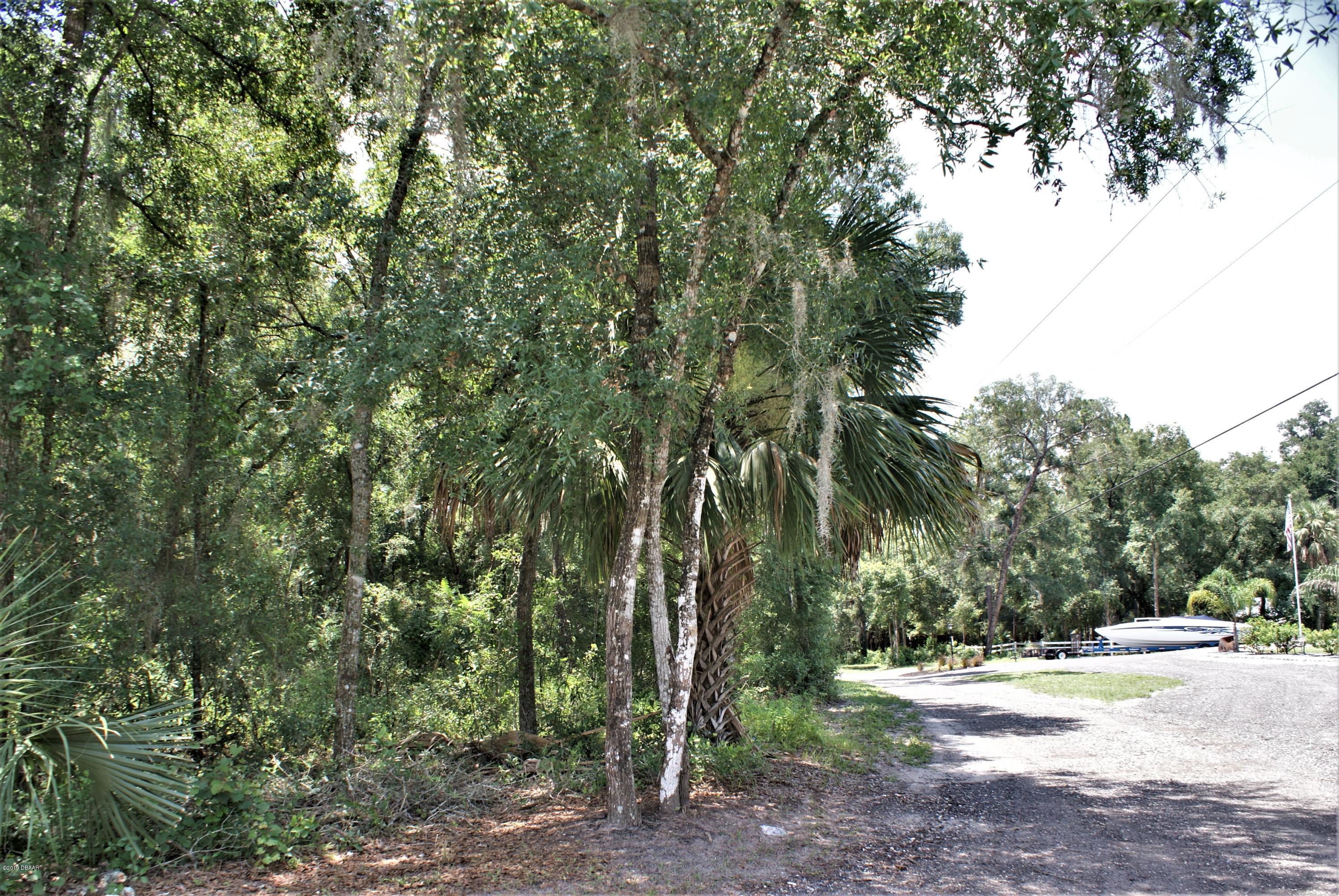 DSC02159c