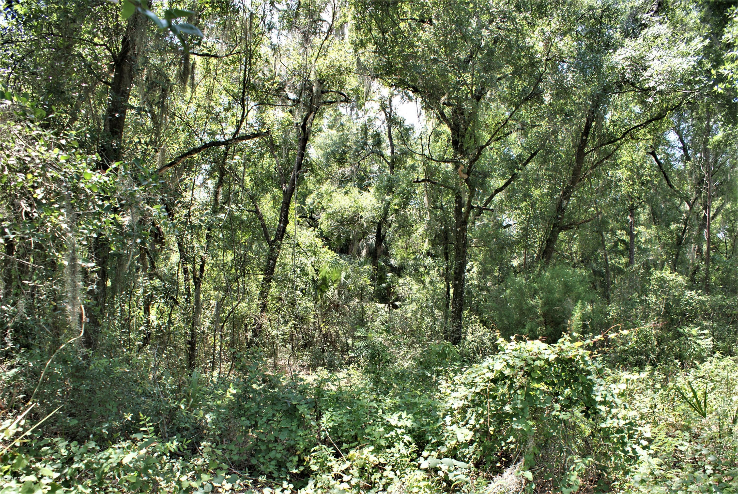 0 Deerfoot Road DeLand, FL 32720 - Photo 8 of 18 DSC02164c