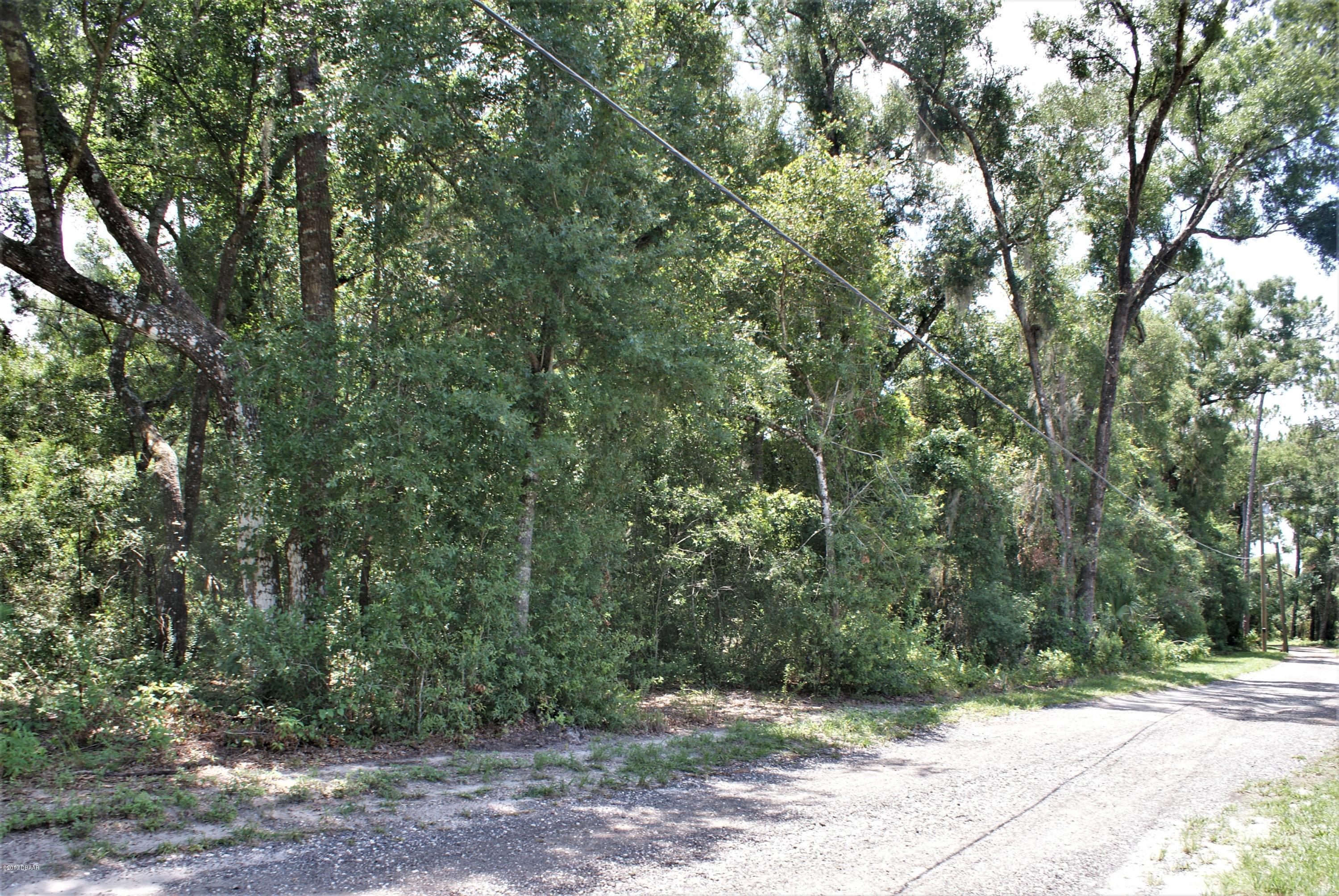 0 Deerfoot Road DeLand, FL 32720 - Photo 9 of 18 DSC02165c