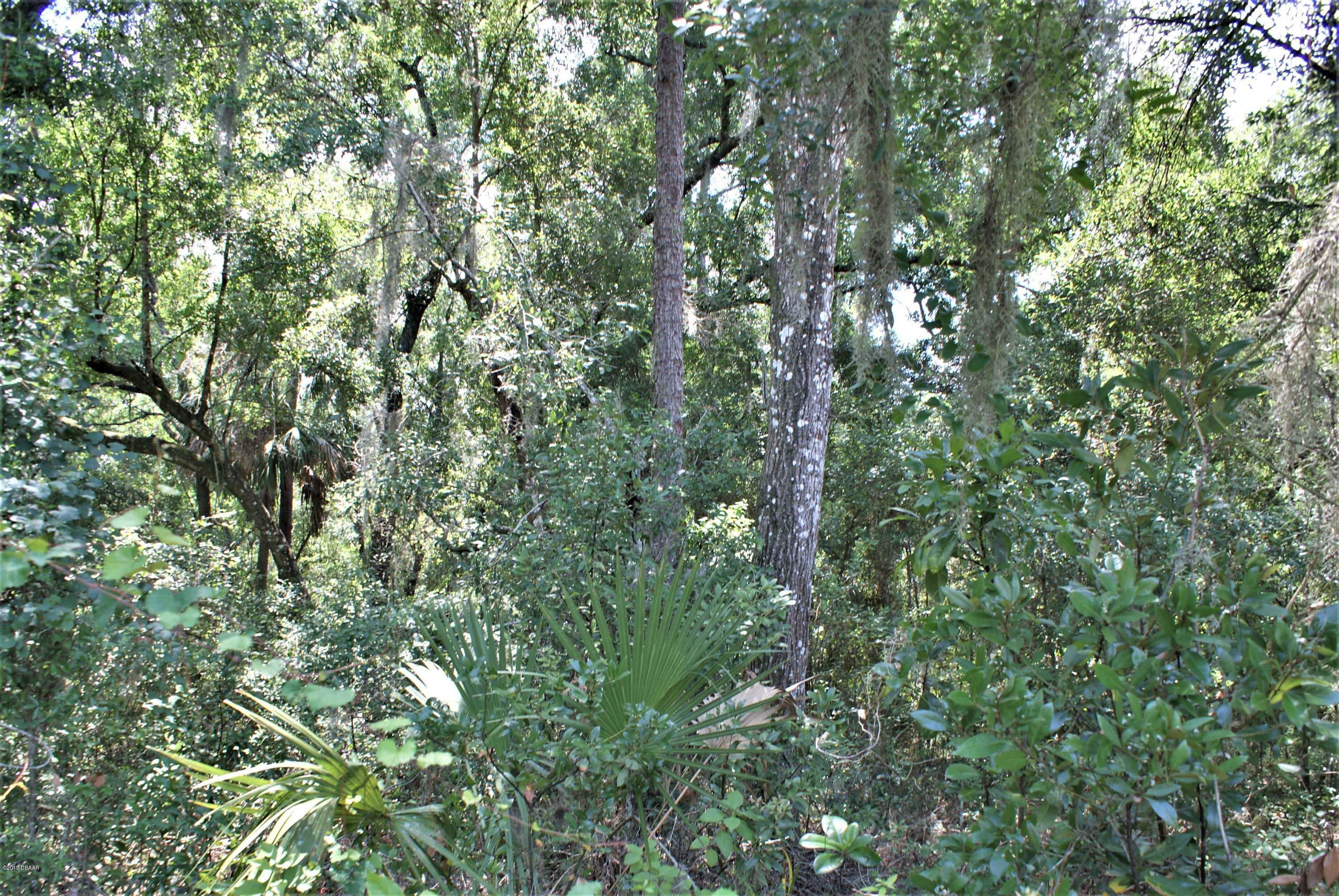 0 Deerfoot Road DeLand, FL 32720 - Photo 10 of 18 DSC02166c