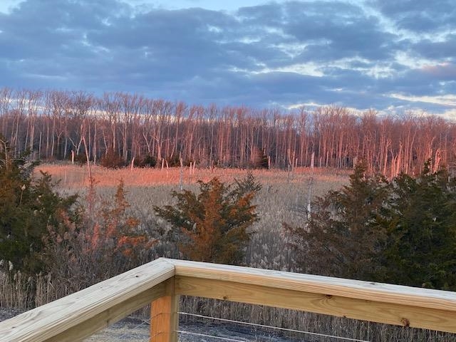 22 Moores Beach Road Delmont, NJ 08314 - Photo 12 of 18