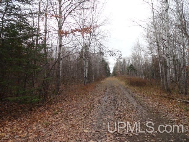 24494 L P Walsh Road White Pine, MI 49971 - Photo 21 of 28