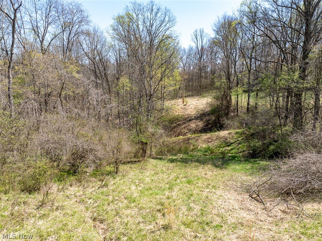 0 Twp Road Dexter City, OH 45727 - Photo 25 of 26