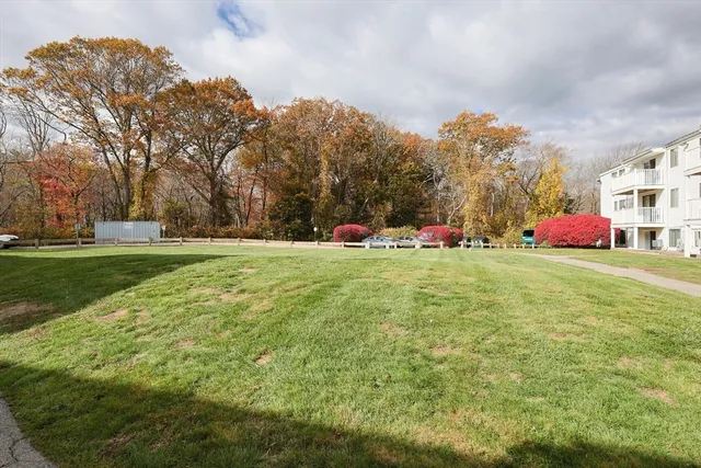 a view of a park with large trees