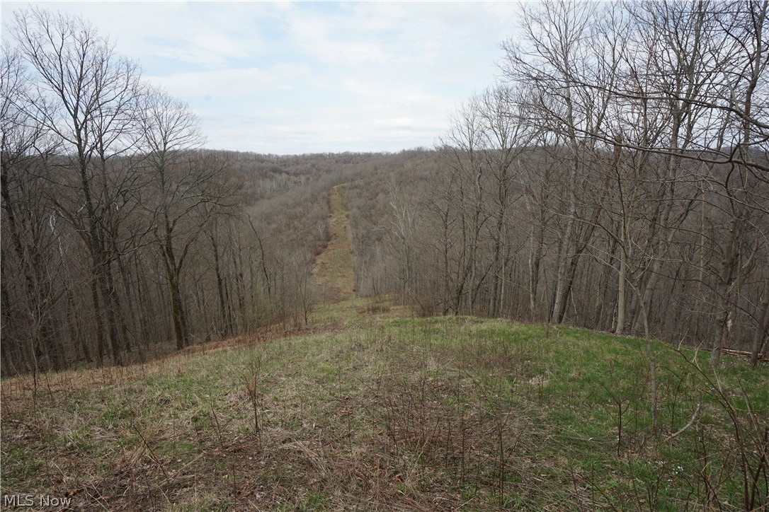 56835 Stephens Road Jacobsburg, OH 43933 - Photo 27 of 50