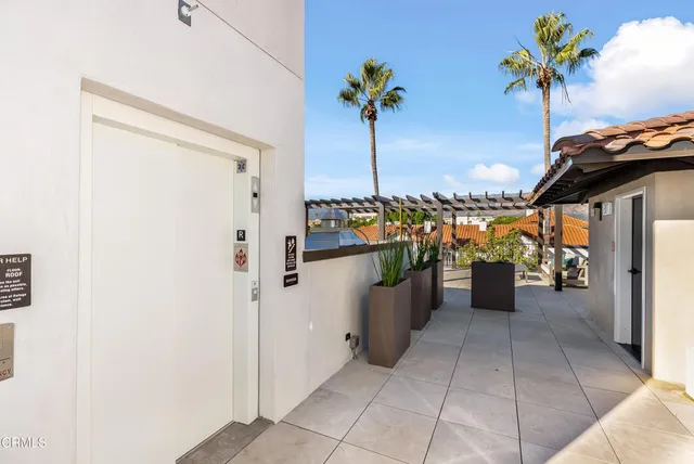a view of a terrace with a potted plant