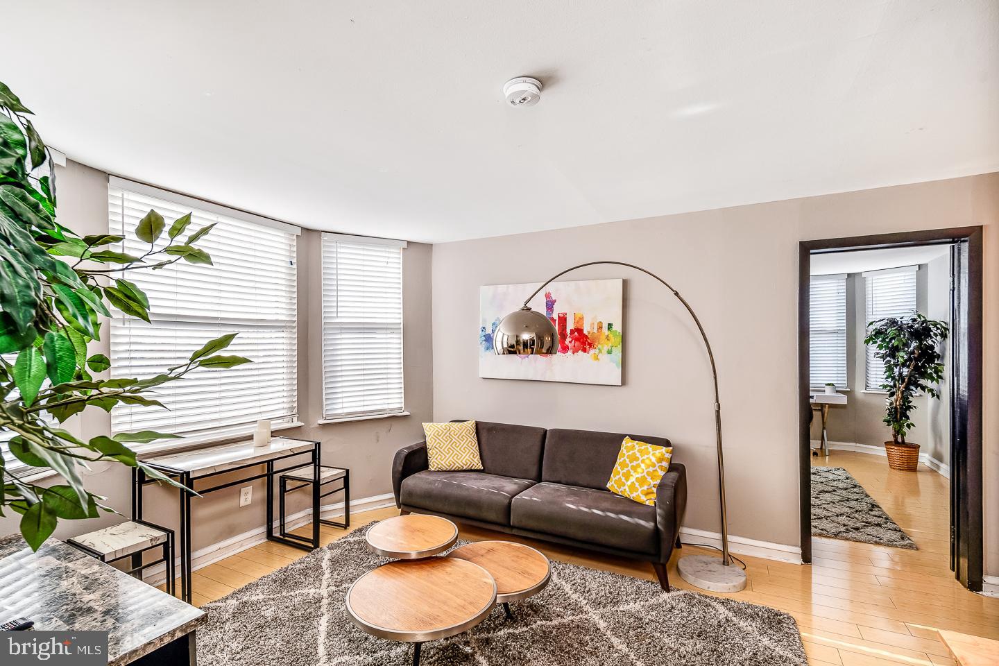 a living room with furniture a rug and a potted plant