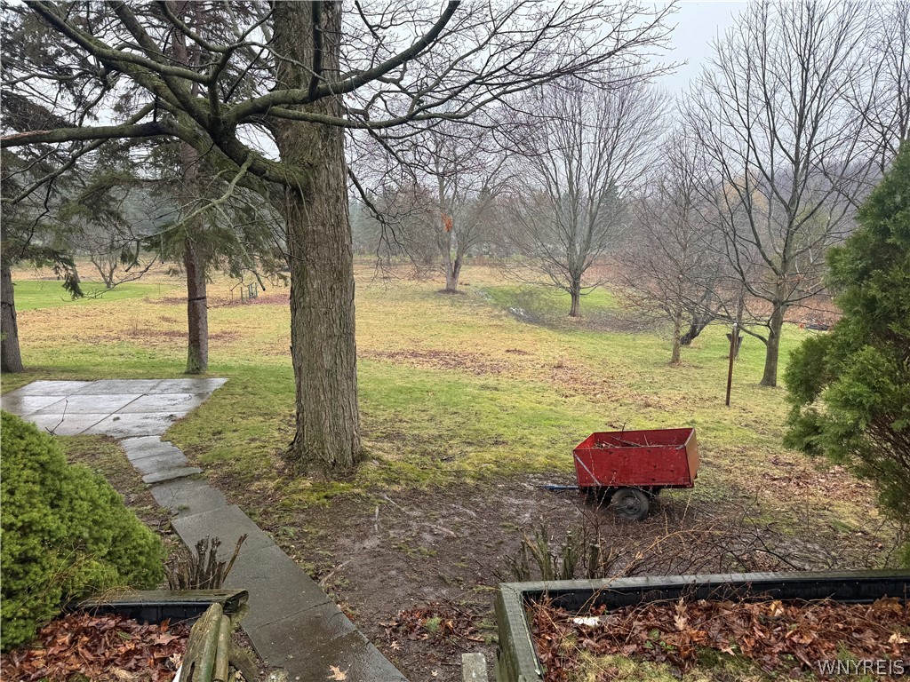 5204 Abbott Road Hamburg, NY 14075 - Photo 4 of 26