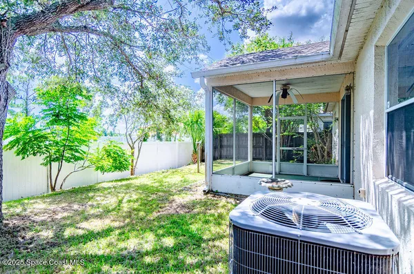 a view of a backyard with a potted plant and a large tree