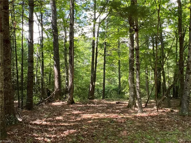 $324,900 | Tbd Maines Hill Lane, Piney Creek, NC 28663