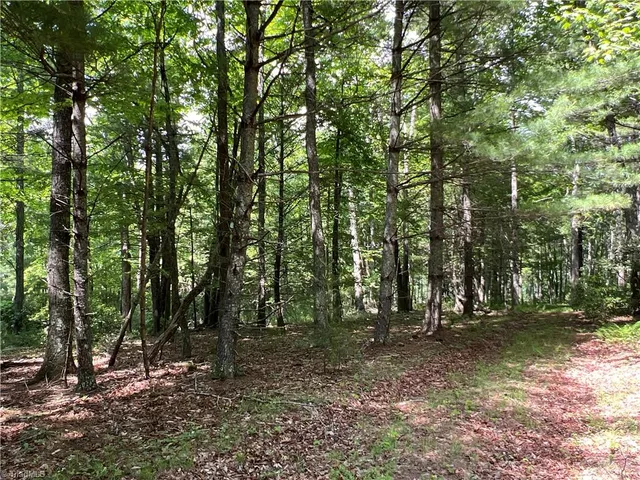 $324,900 | Tbd Maines Hill Lane, Piney Creek, NC 28663