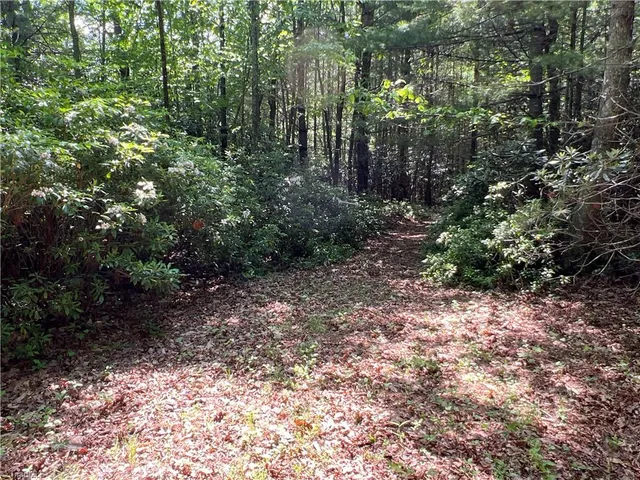 $324,900 | Tbd Maines Hill Lane, Piney Creek, NC 28663