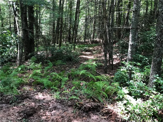 $324,900 | Tbd Maines Hill Lane, Piney Creek, NC 28663