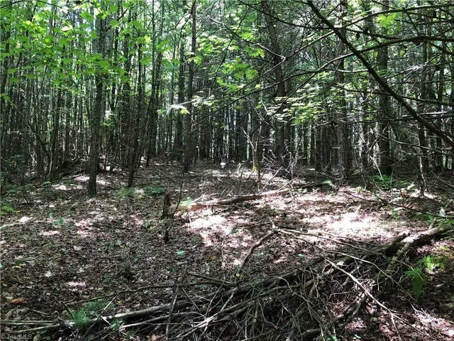 $324,900 | Tbd Maines Hill Lane, Piney Creek, NC 28663