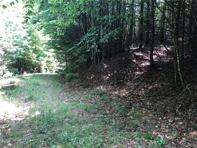 $324,900 | Tbd Maines Hill Lane, Piney Creek, NC 28663