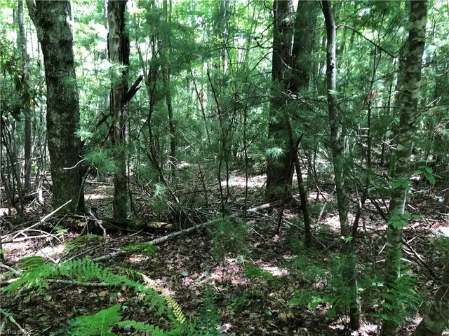 $324,900 | Tbd Maines Hill Lane, Piney Creek, NC 28663