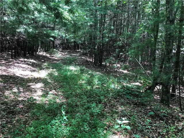 $324,900 | Tbd Maines Hill Lane, Piney Creek, NC 28663