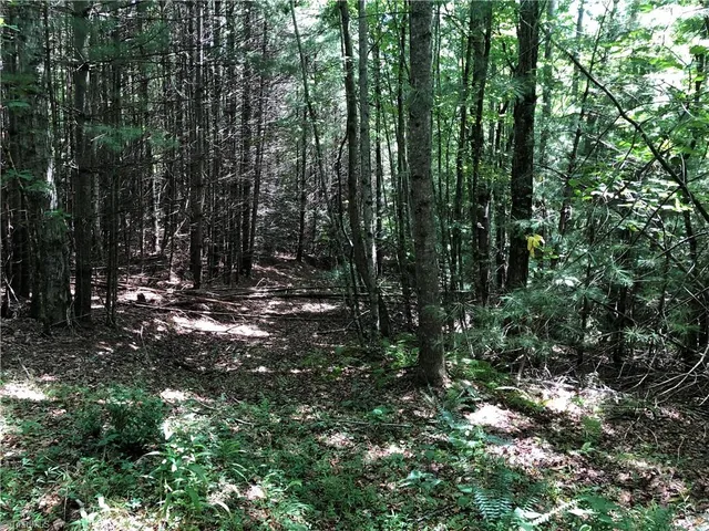 $324,900 | Tbd Maines Hill Lane, Piney Creek, NC 28663