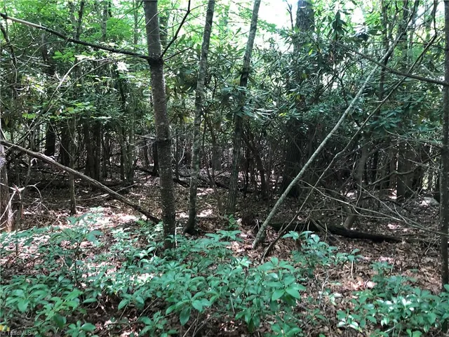 $324,900 | Tbd Maines Hill Lane, Piney Creek, NC 28663