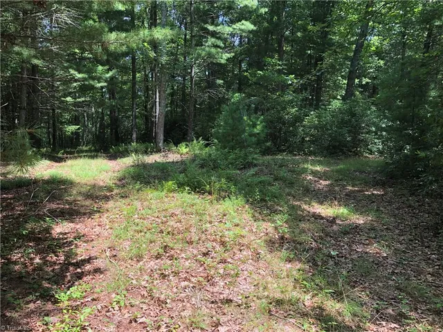 $324,900 | Tbd Maines Hill Lane, Piney Creek, NC 28663