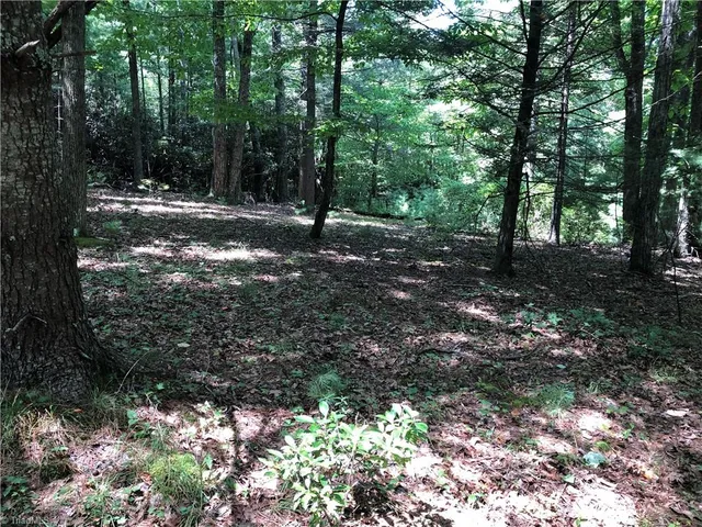 $324,900 | Tbd Maines Hill Lane, Piney Creek, NC 28663