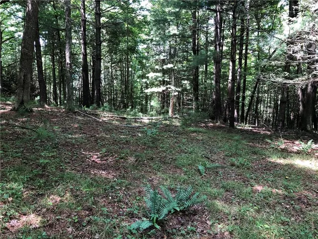 $324,900 | Tbd Maines Hill Lane, Piney Creek, NC 28663