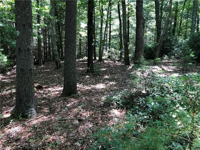 $324,900 | Tbd Maines Hill Lane, Piney Creek, NC 28663