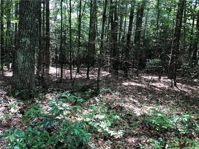 $324,900 | Tbd Maines Hill Lane, Piney Creek, NC 28663