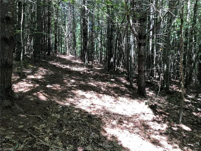 $324,900 | Tbd Maines Hill Lane, Piney Creek, NC 28663