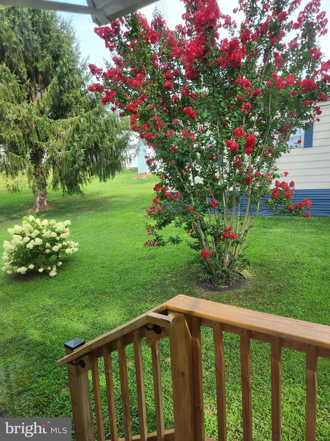 16 Mill Street York, PA 17406 - Photo 29 of 29 a view of a flower in a garden