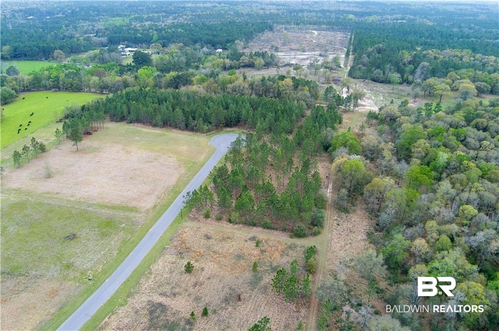 47 Hampton Ridge Mobile, AL 36608 - Photo 6 of 9 View of property location with rural landscape