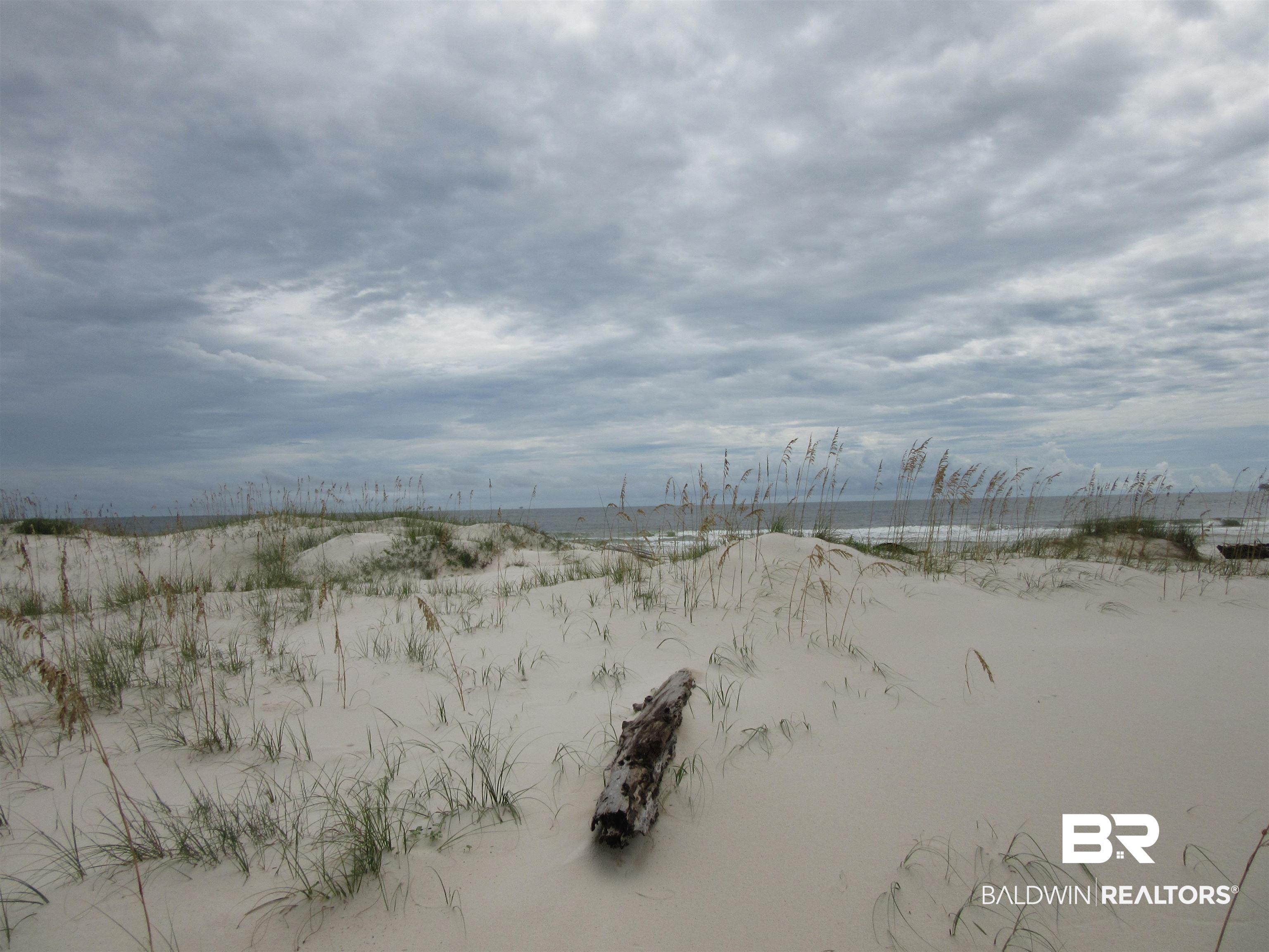 Beach Boulevard Gulf Shores, AL 36542 - Photo 5 of 14 Sand dunes