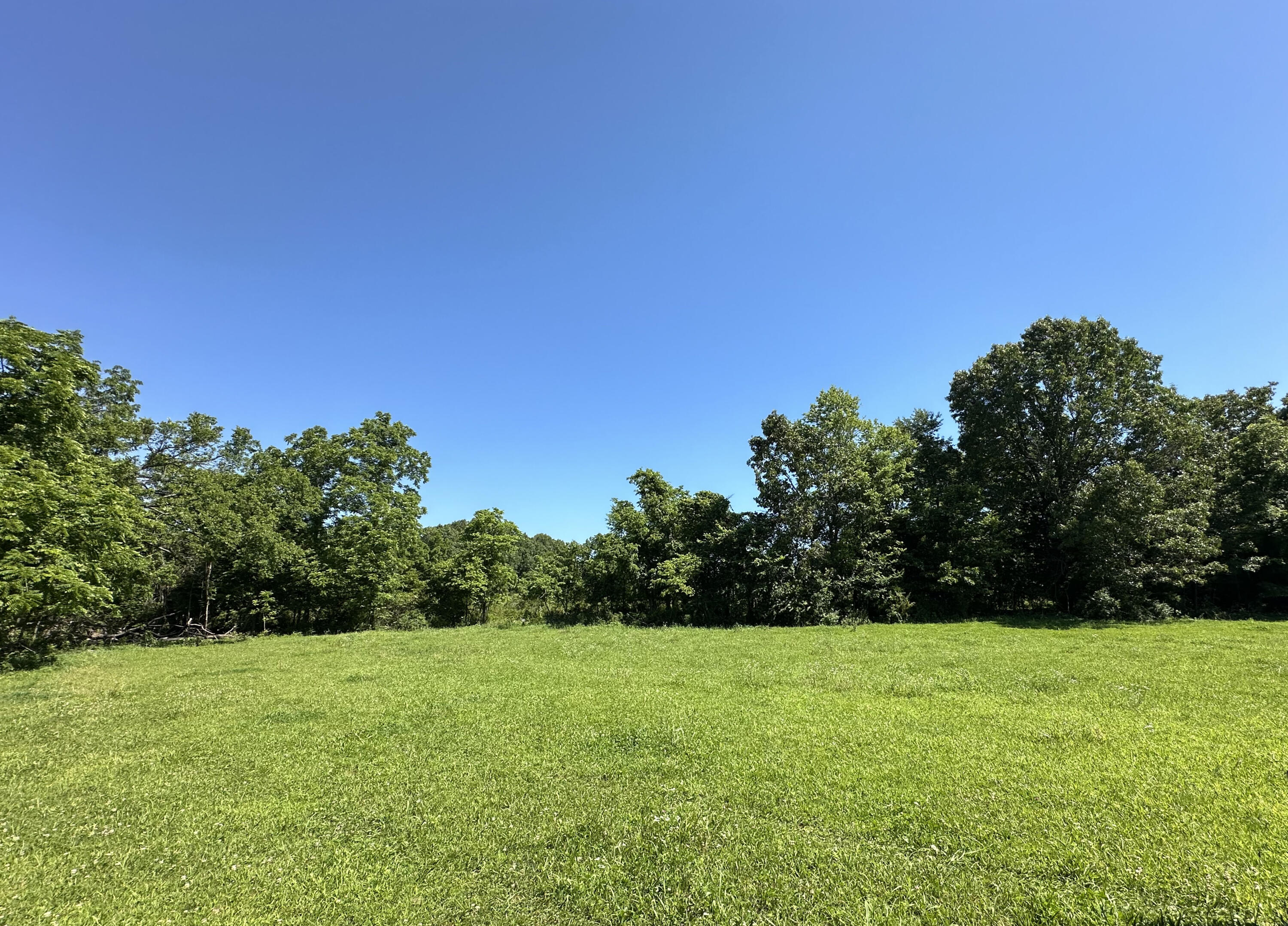 443 Marsha Road Billings, MO 65610 - Photo 6 of 25 IMG_1229-a