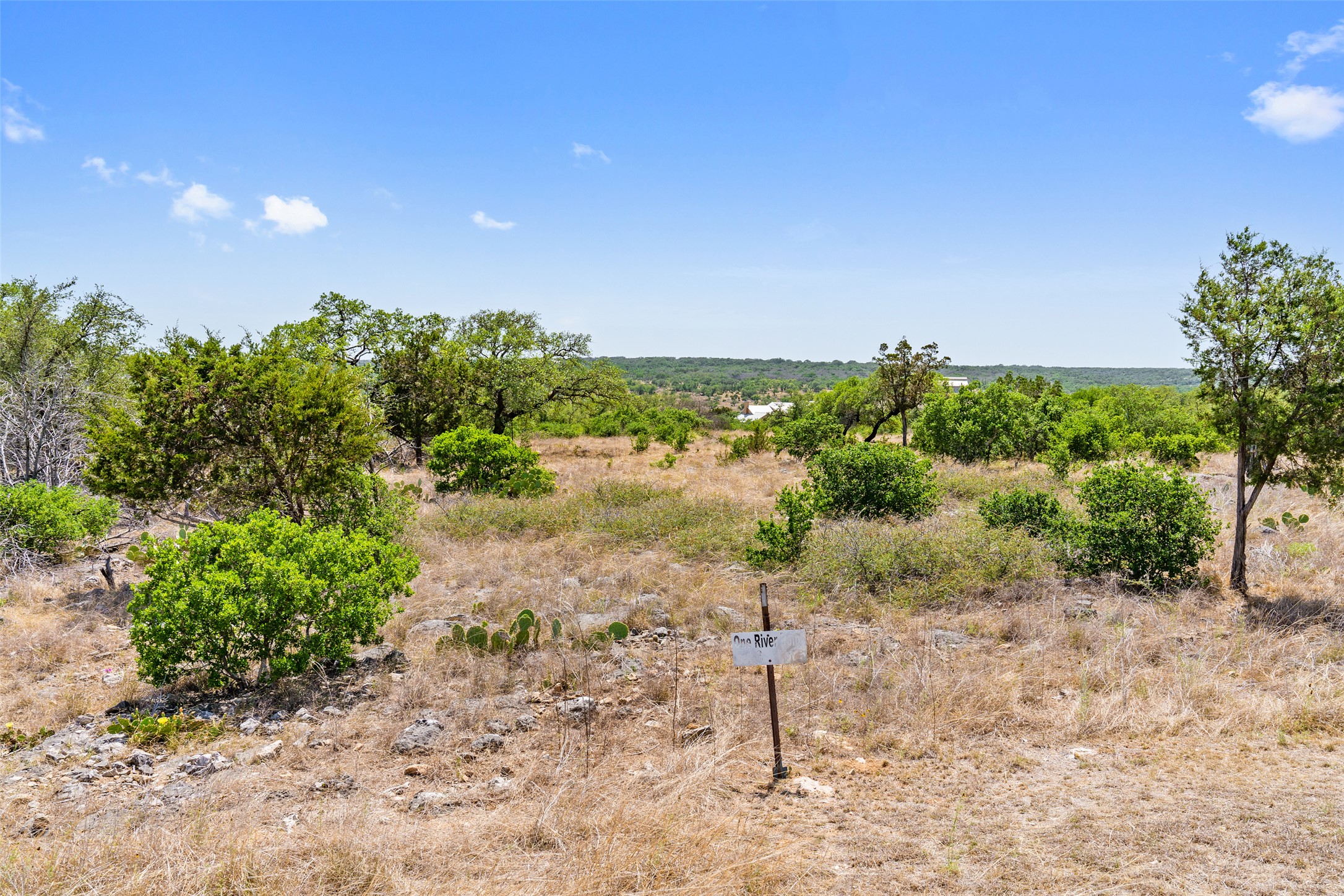 153 One River Point West Johnson City, TX 78636 - Photo 2 of 10 a view of a yard with a tree
