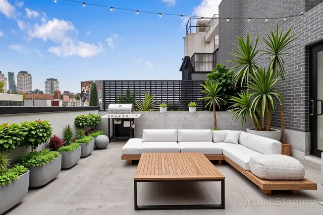 a view of a patio with couches and a potted plant on a table