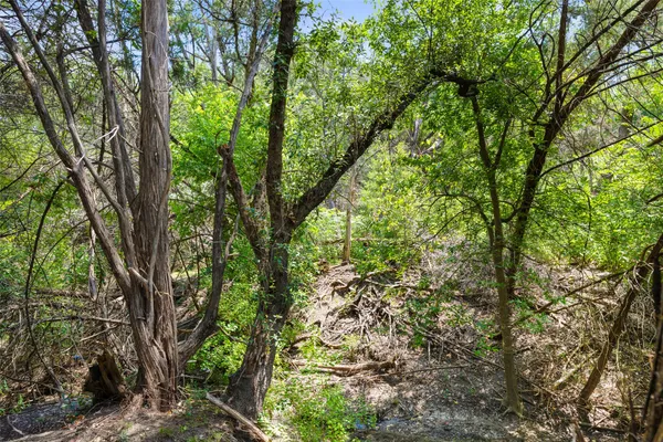 a view of a house with a tree park