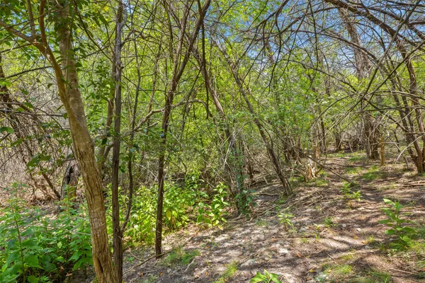 a view of forest
