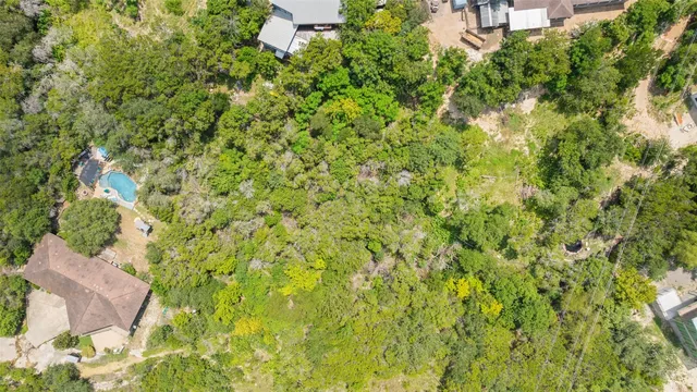 a view of a big yard with plants and large trees